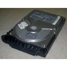 Жесткий диск 18.4Gb Quantum Atlas 10K III U160 SCSI (Кратово)