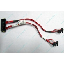 SATA-кабель для корзины HDD HP 451782-001 459190-001 для HP ML310 G5 (Кратово)