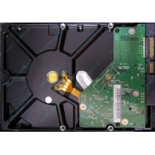 Б/У жёсткий диск 1Tb Western Digital WD10EVVS Green (WD AV-GP 1000 GB) 5400 rpm SATA (Кратово)
