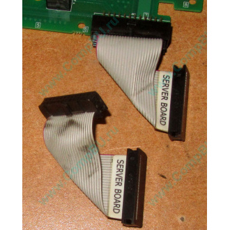 6017B0045701 Шлейф 24 pin для Intel C74974-401 T0043401-B01 корпуса SR2400 (Кратово)