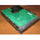 Жесткий диск 300Gb 15k Seagate Cheetach ST3300656SS 15K.6 Dell 9CH066-050 6G SAS (Кратово)